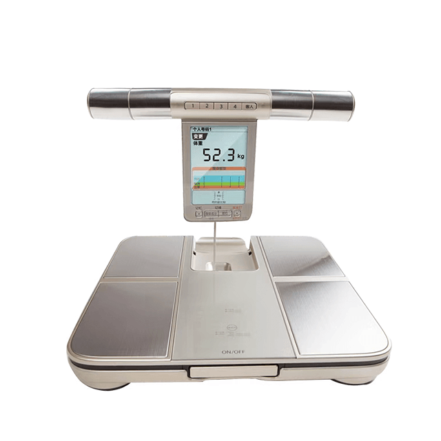 Body fat scale