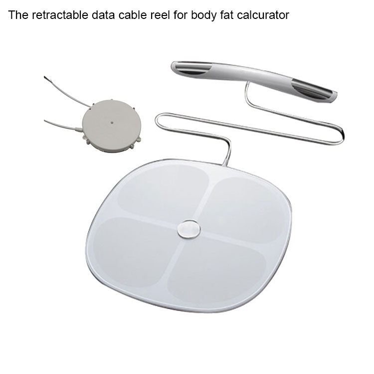 Body fat scale